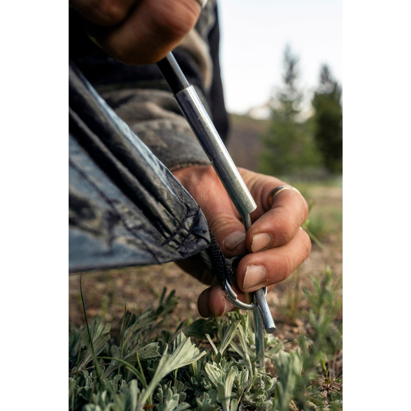 Sunset Retreat Dome Tent image 9